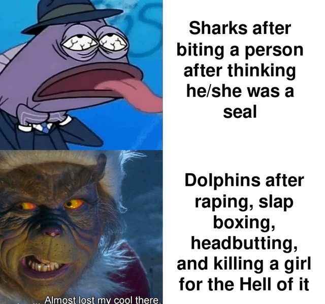 Sharks or dolphins - meme