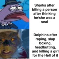 Sharks or dolphins