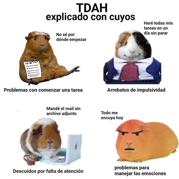 TDAH explicado - meme