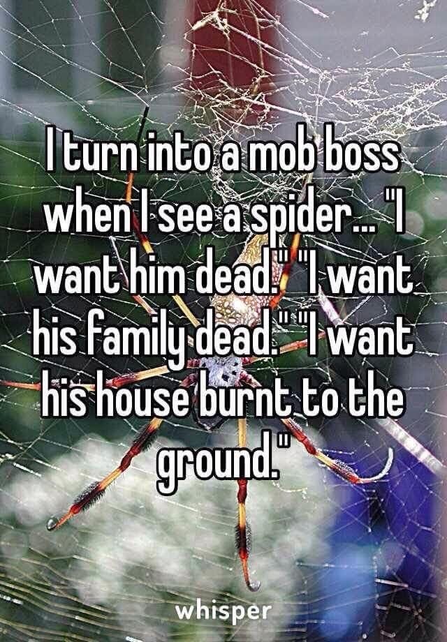 Spiders - meme