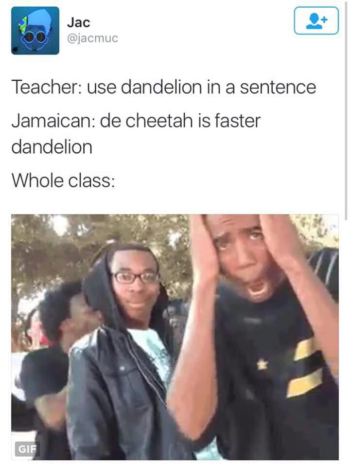 Dandelion - meme
