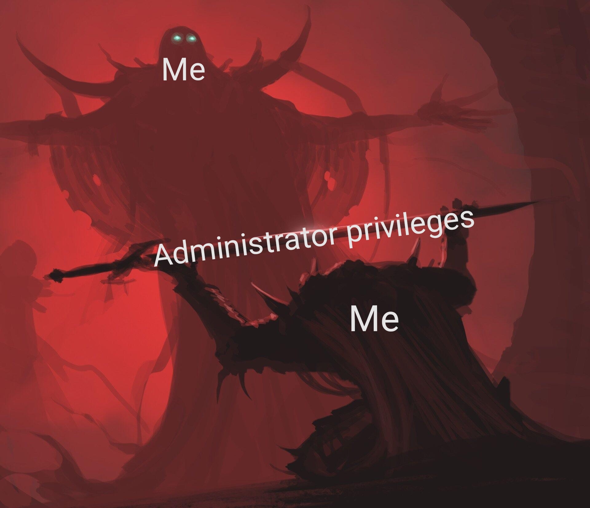 When you run as administrator in Windows - meme
