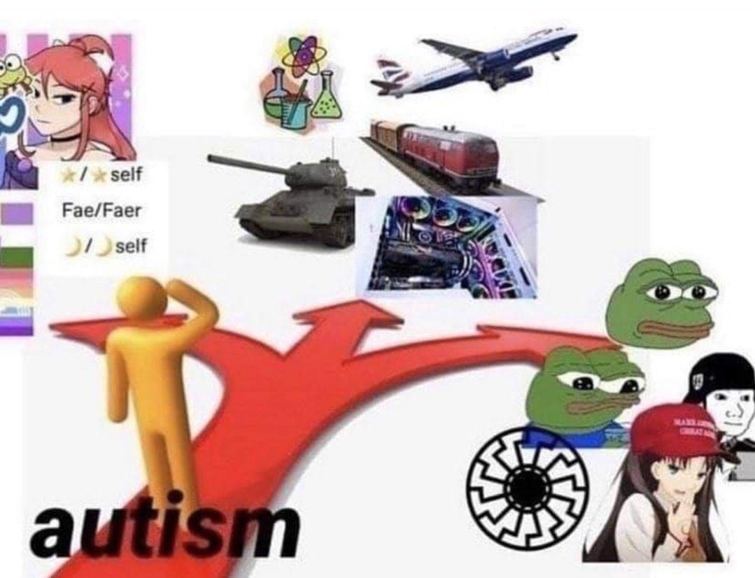 Le autism - meme