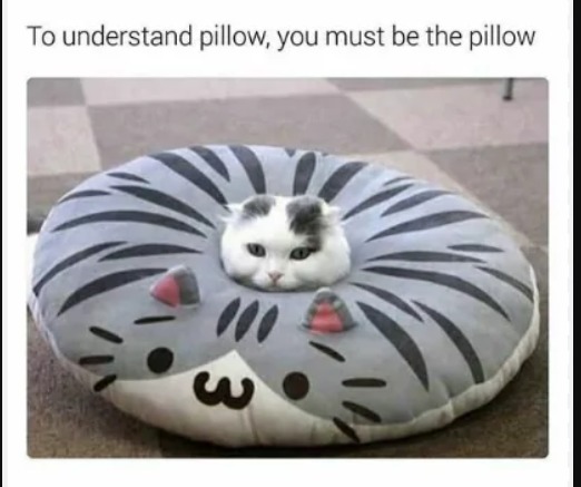 7th comment is a pillow cat - meme