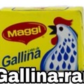 Gallina.rar