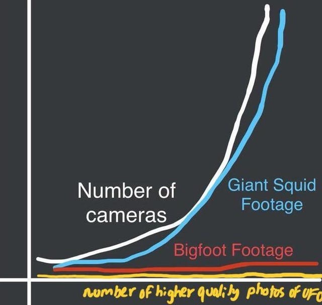 Giant squids are real - meme