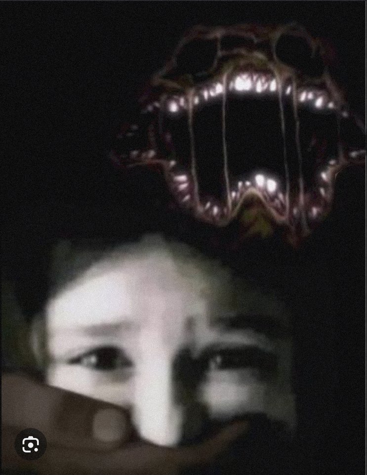 la mamá de cjsj captada en camara (el chiste es un dlc de 69 dólares) - meme