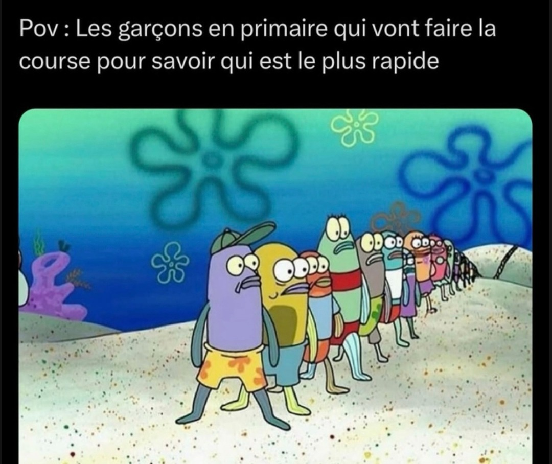 le plus rapide - meme