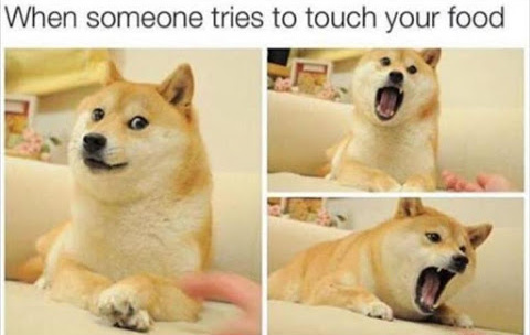 Do not touch my food! - meme