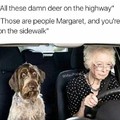 Margaret don't give a fuck