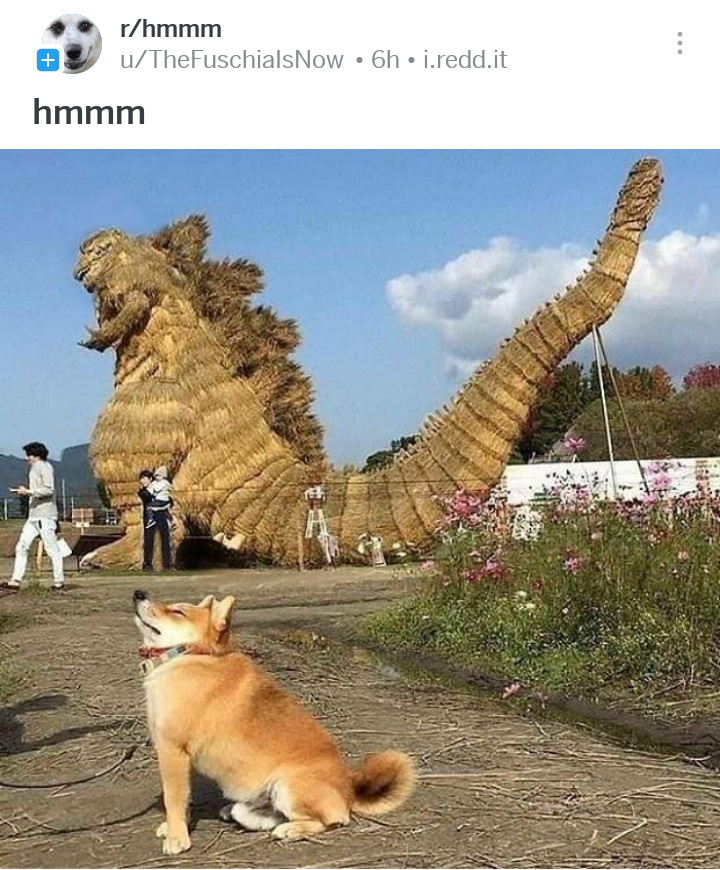 Doggo dragonno - meme
