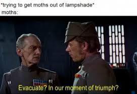 moth - meme