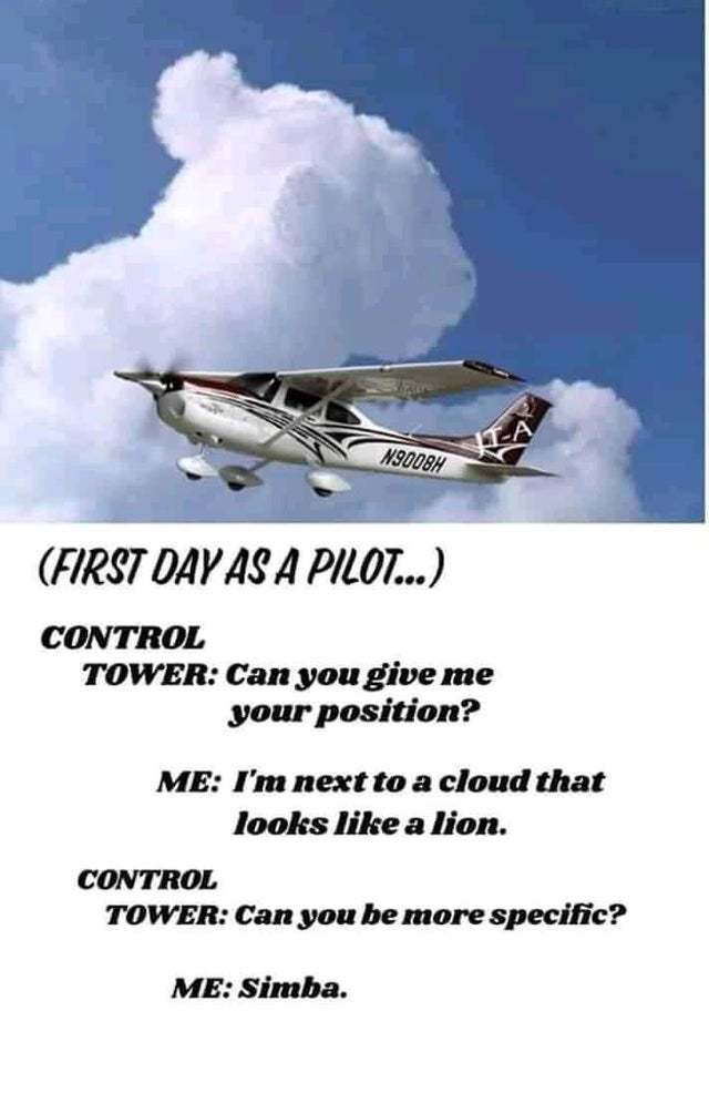 First day as a pilot - meme