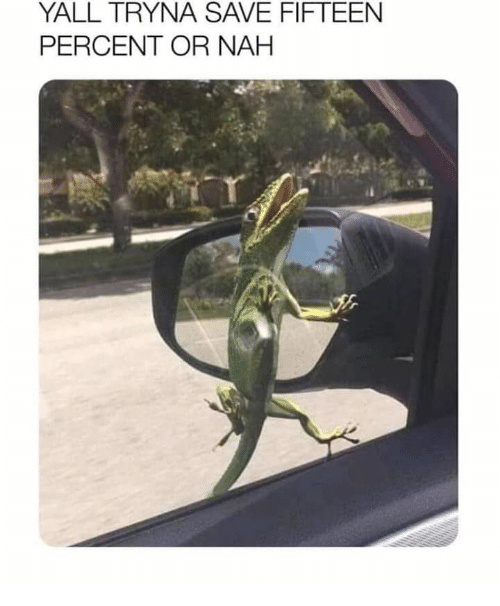 geico can save you 15% on car insurance - meme