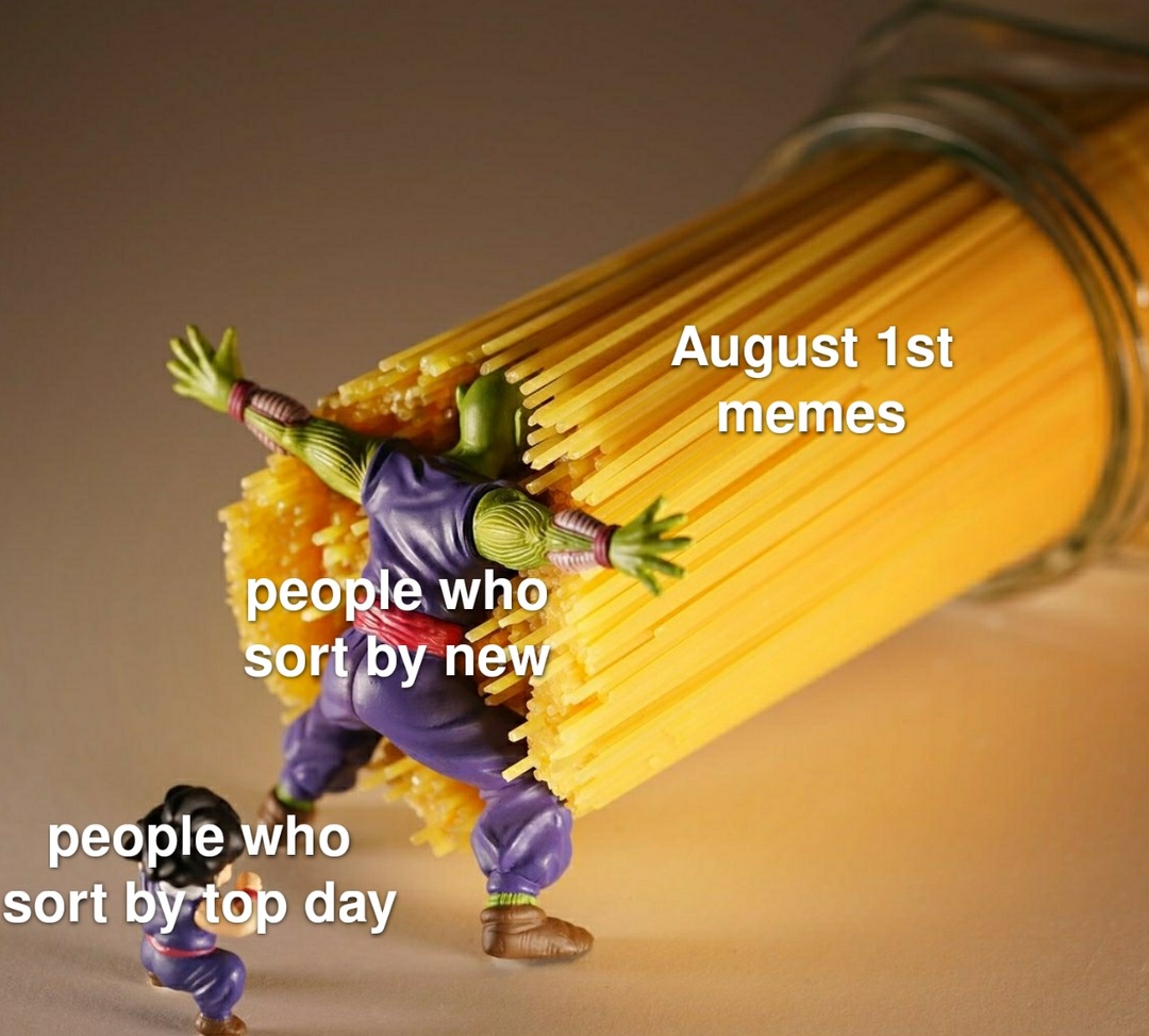 Not august 1st plans - meme