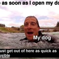 Funny dog meme