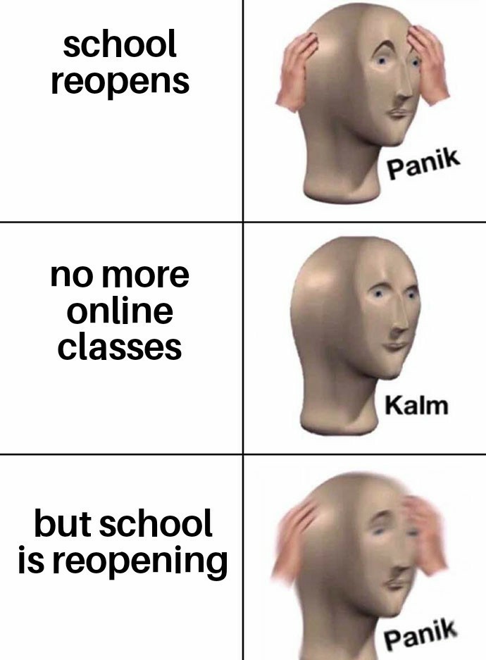 Online classes , better ??? - meme