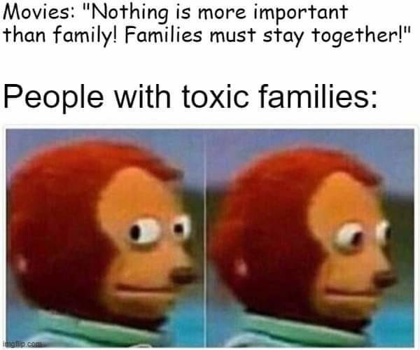 toxic families meme