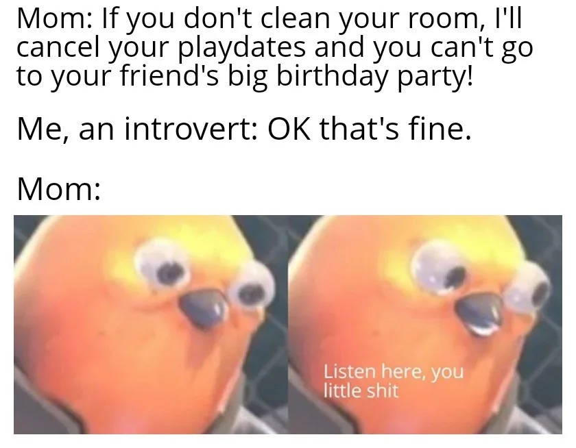 Big birthday party for introverts - meme