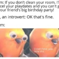 Big birthday party for introverts