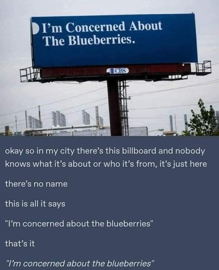 I'm concerned about the blueberries - meme