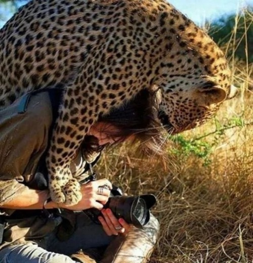 let me check my photo! - meme