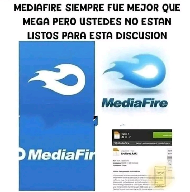 Yo siempre fui más de usar Mediafire que Mega - meme