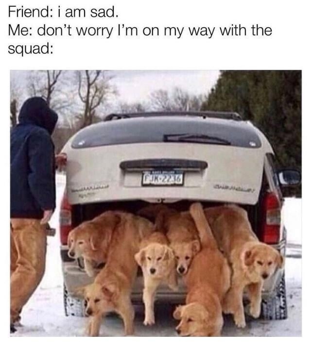 friend sad? time to roll in with emotional support squad - meme
