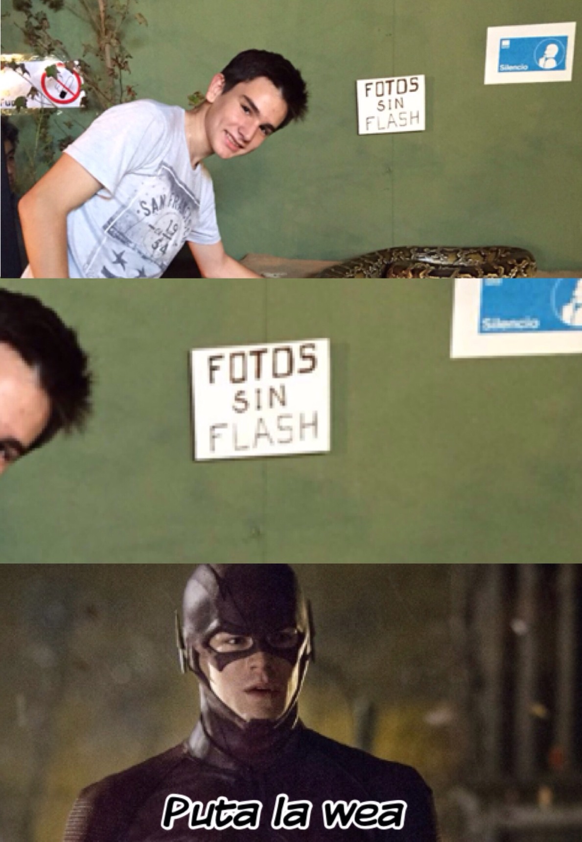 rip flash - meme