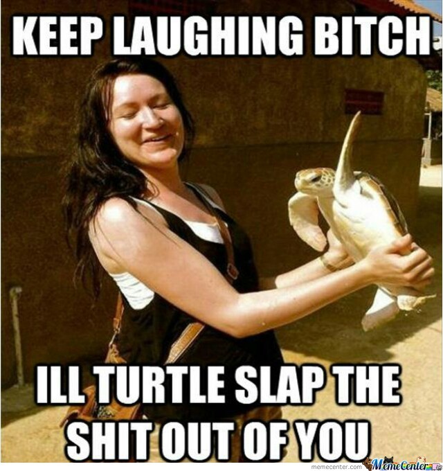 Whos slower sloths or turtles - meme