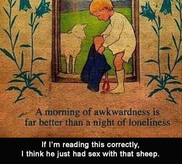 A morning of awkwardness is a far better than a night of loneliness - meme