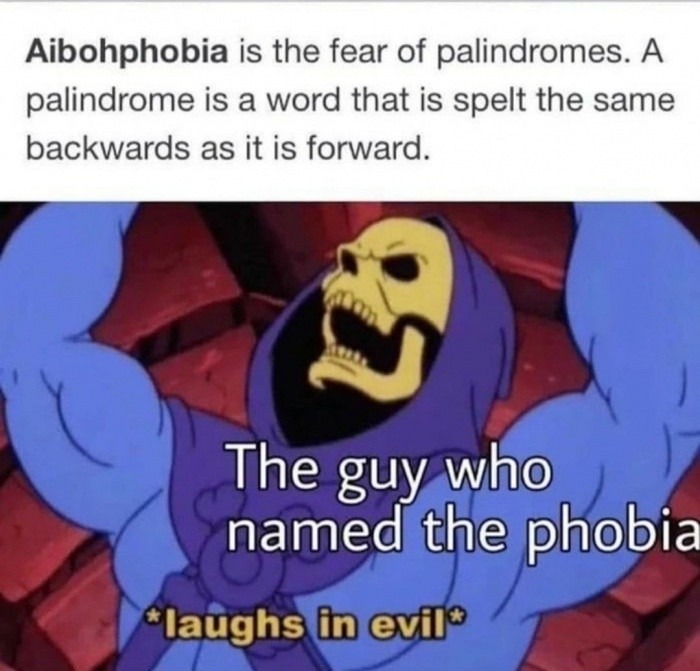 Phobia of phobias - meme