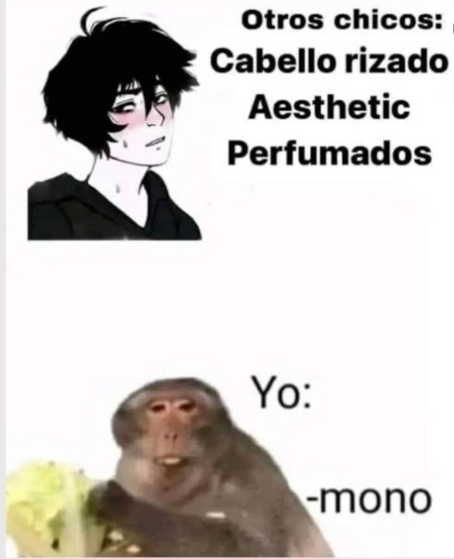 Mono - meme