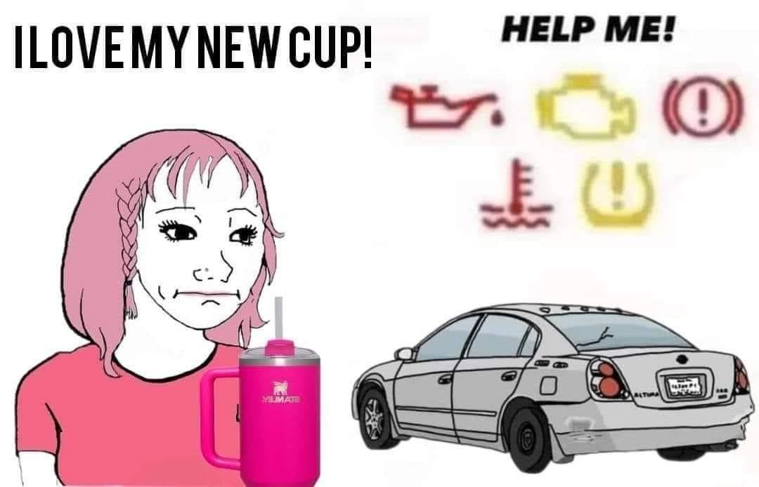 $50 pink Starbucks Stanley cup or Oil Change? - meme