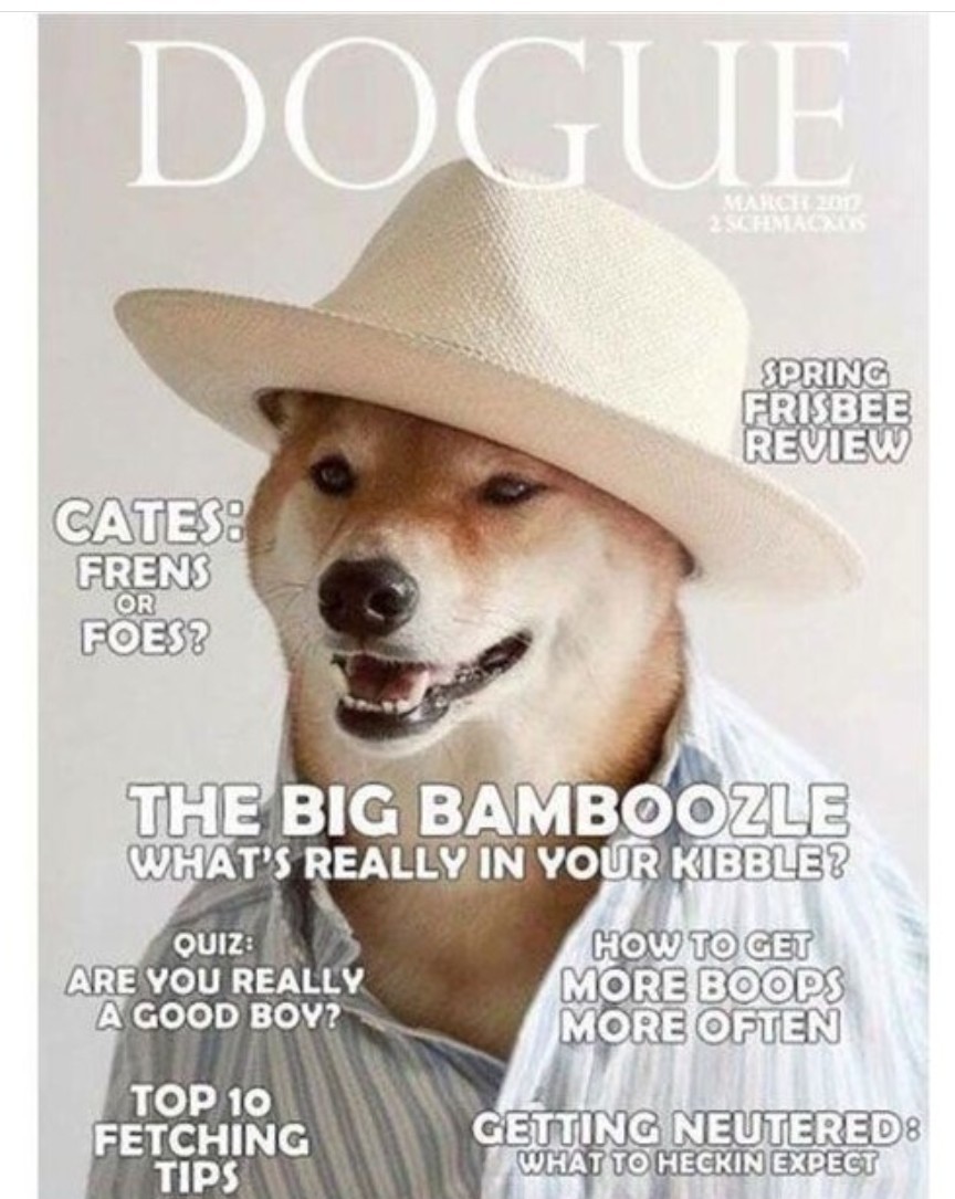 Doggo do a cover - meme