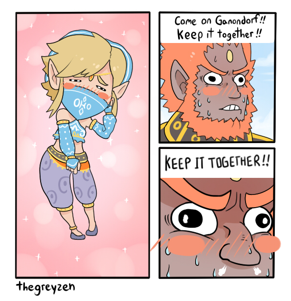 Anyone else surprised they put cross dressing in a Zelda game - meme