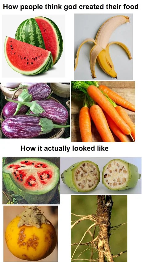 Fruits back in the day - meme