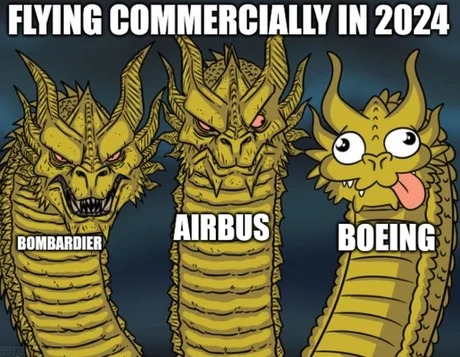 Flying commercially in 2024 - meme