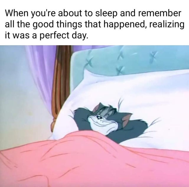 Every once in a while, it was a good day - meme