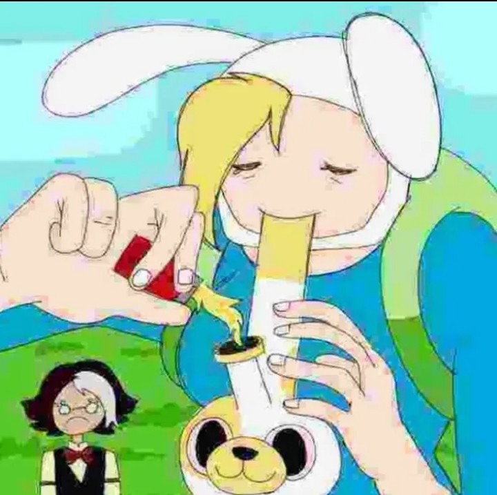 Fionna - meme