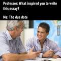 Essays...