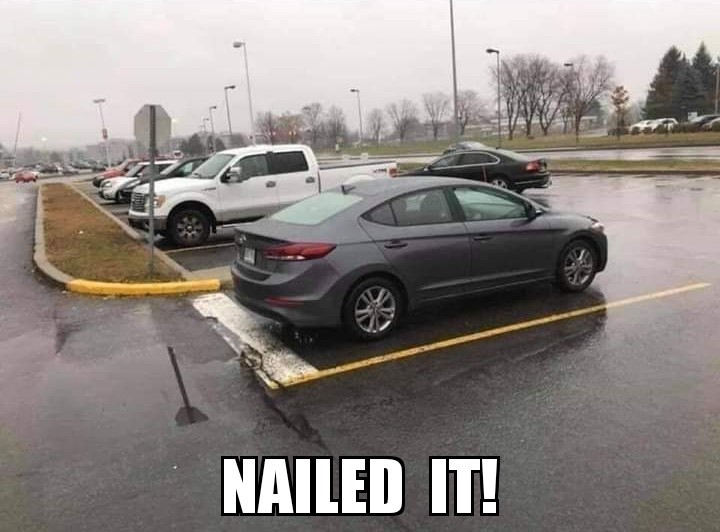 Expert parking - meme