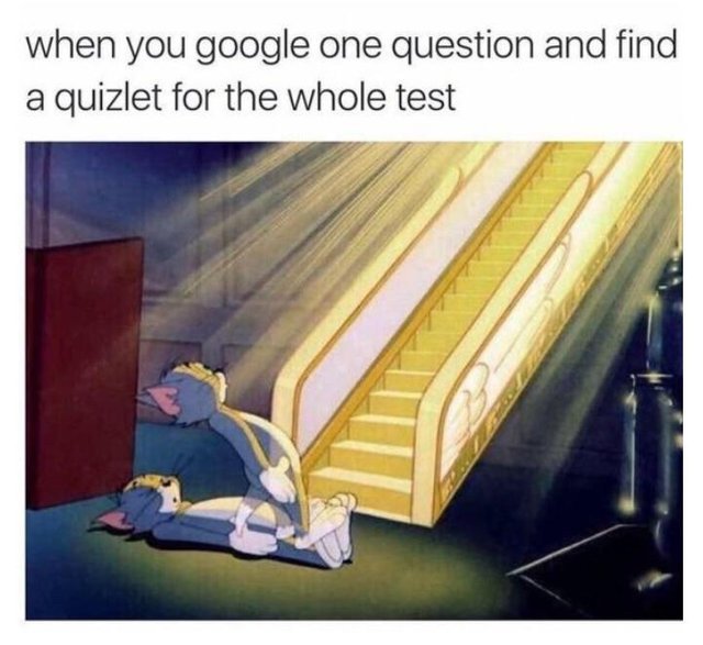 When you google one question and find a quizlet for the whole test - meme