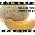 melon momentum