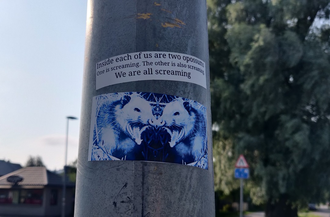Just took this photo, a random meme on a random street light in Tallinn, Estonia