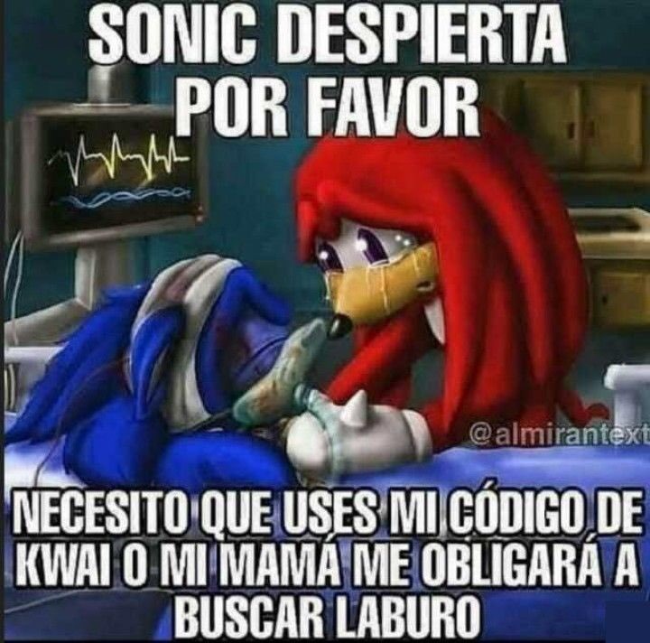 Porfa Sonic - meme