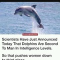 Respect Dolphin Superiority!