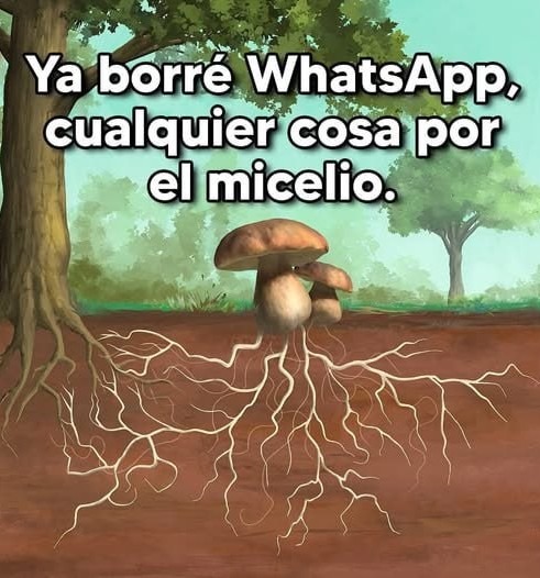 Ya borré WhatsApp, cualquier cosa por señales de humo - meme