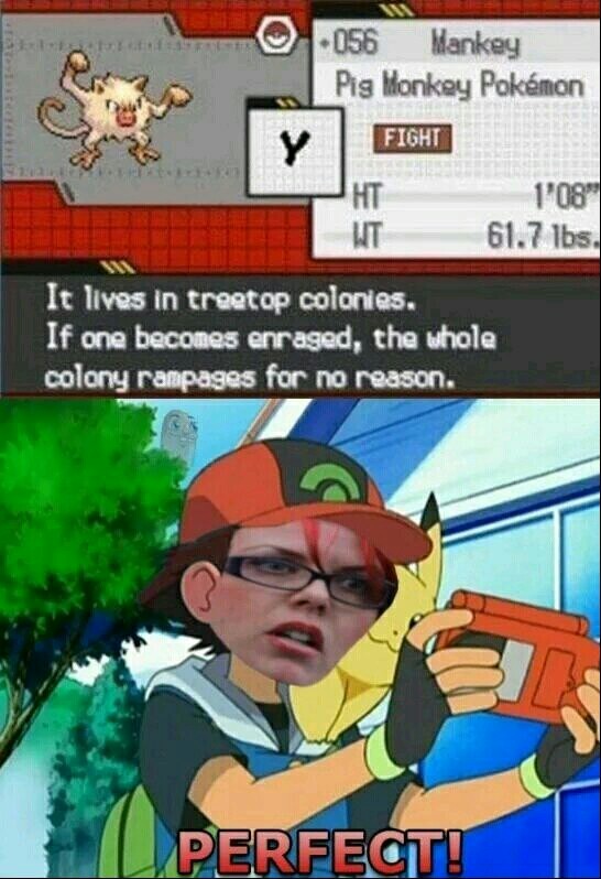 Favorite Pokemon? - meme