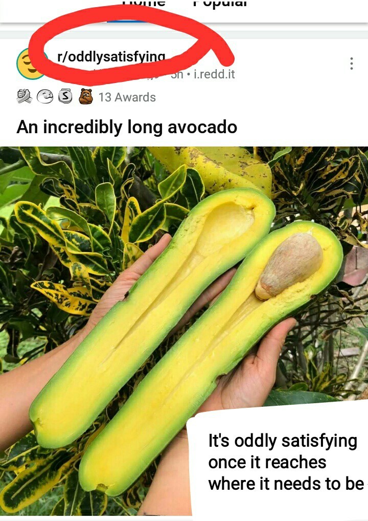 Now my Bae is comparing me to a fucking avocado... - meme